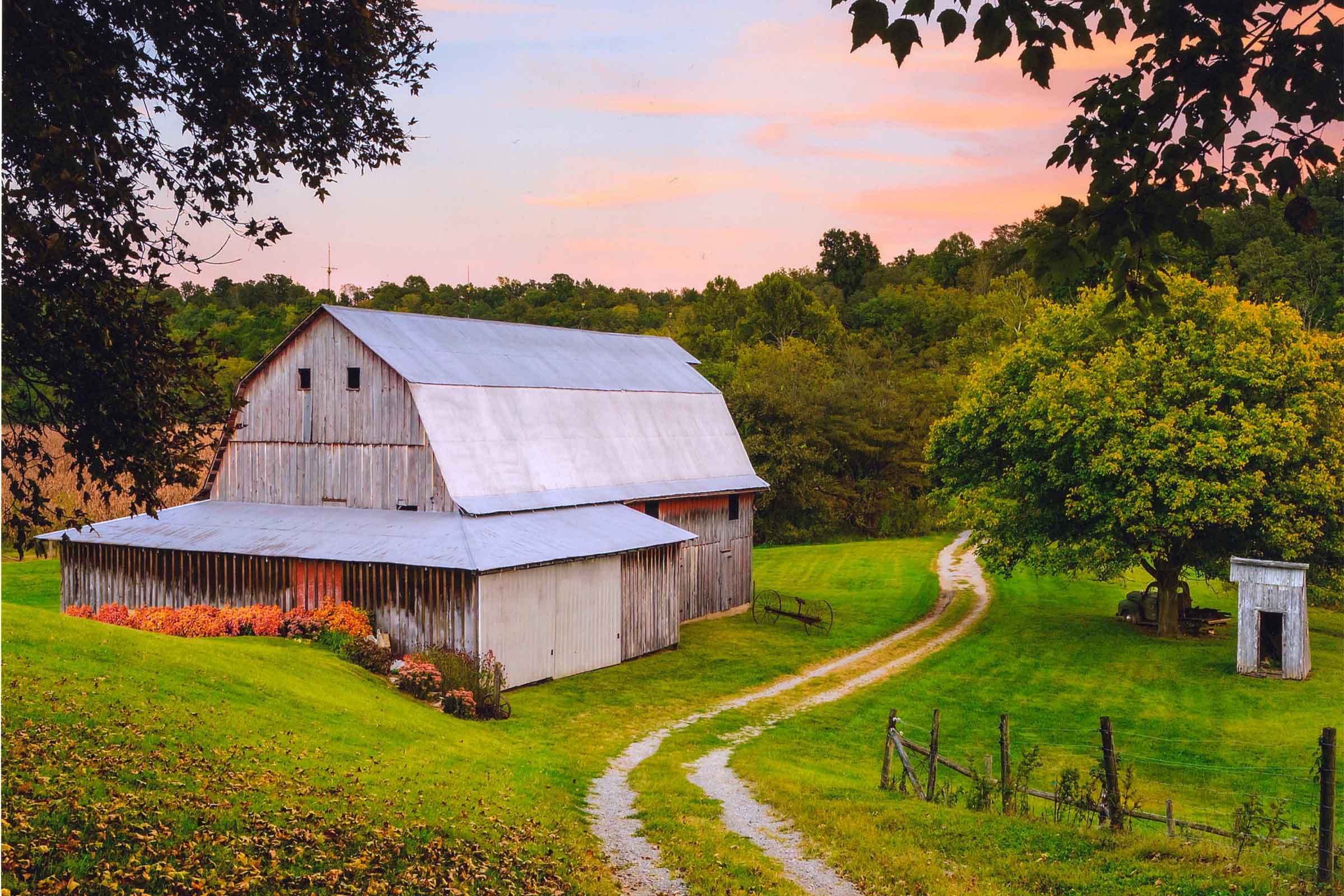 fall in Illinois