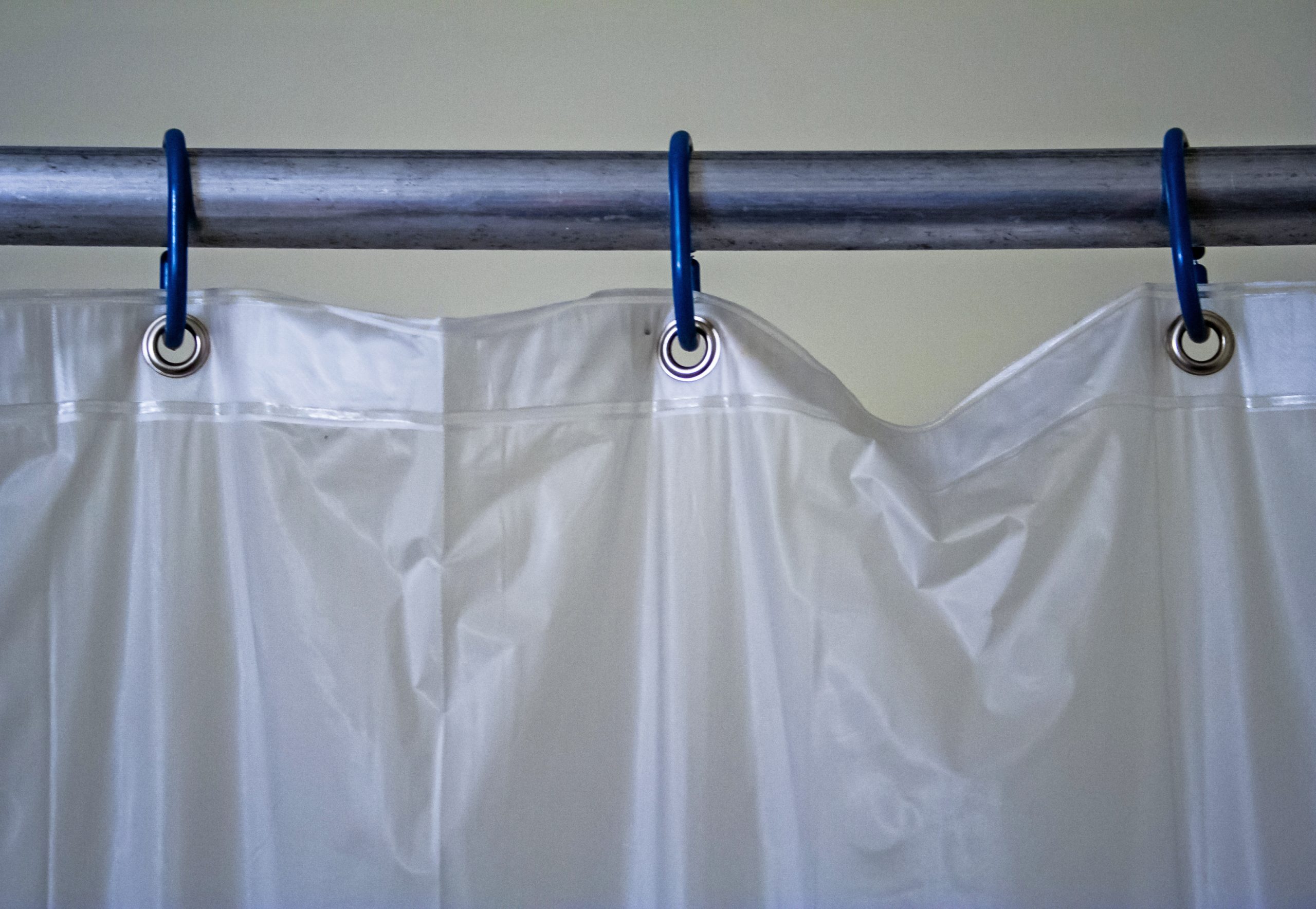 shower curtain