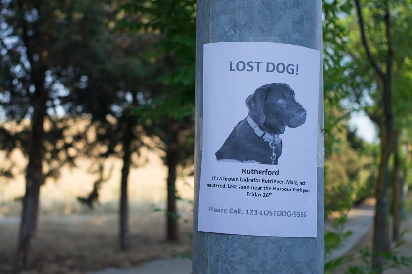 MIssing poster
