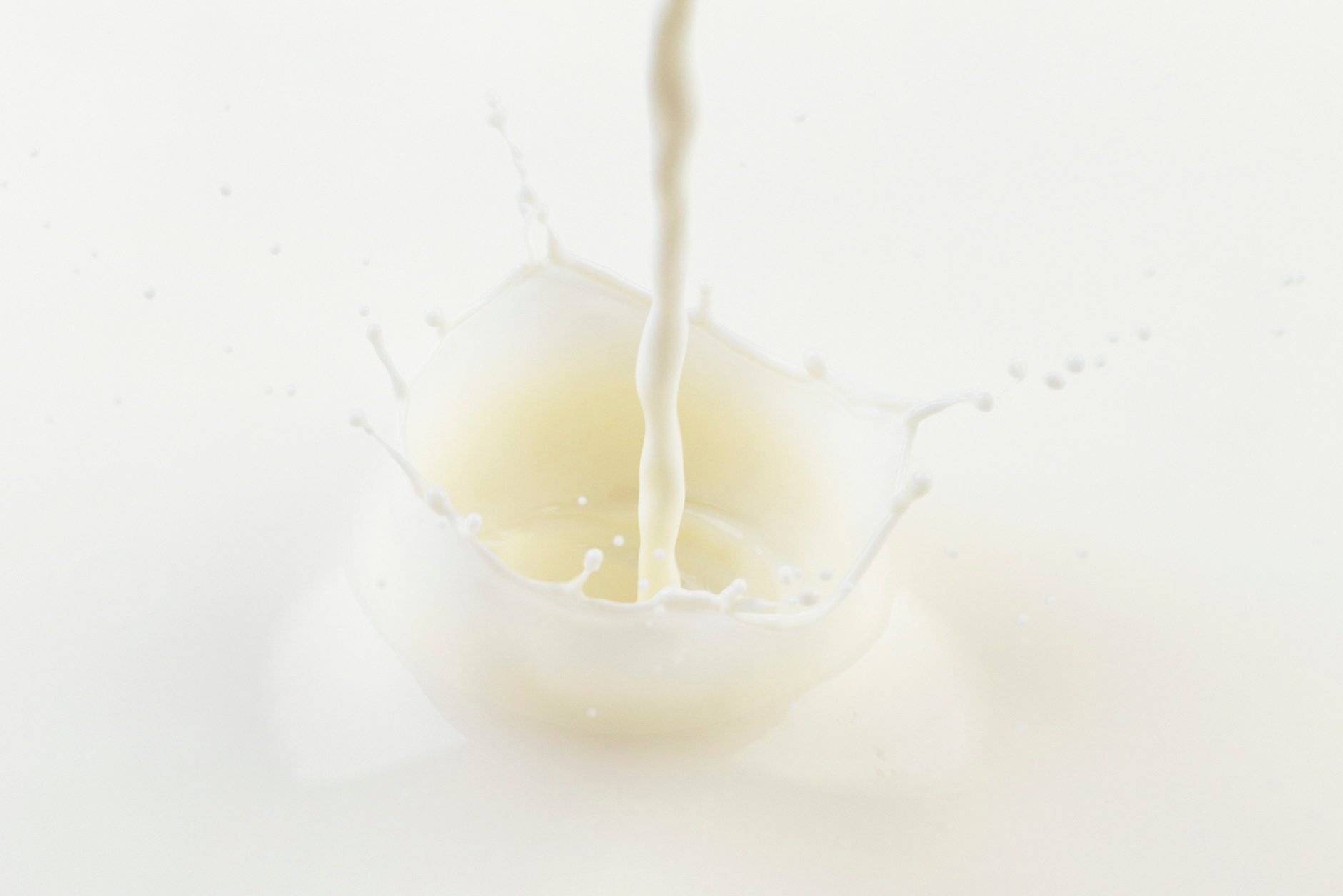 Splash of Milk