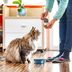 15 Toxic Foods For Cats That You Might Have In Your Kitchen