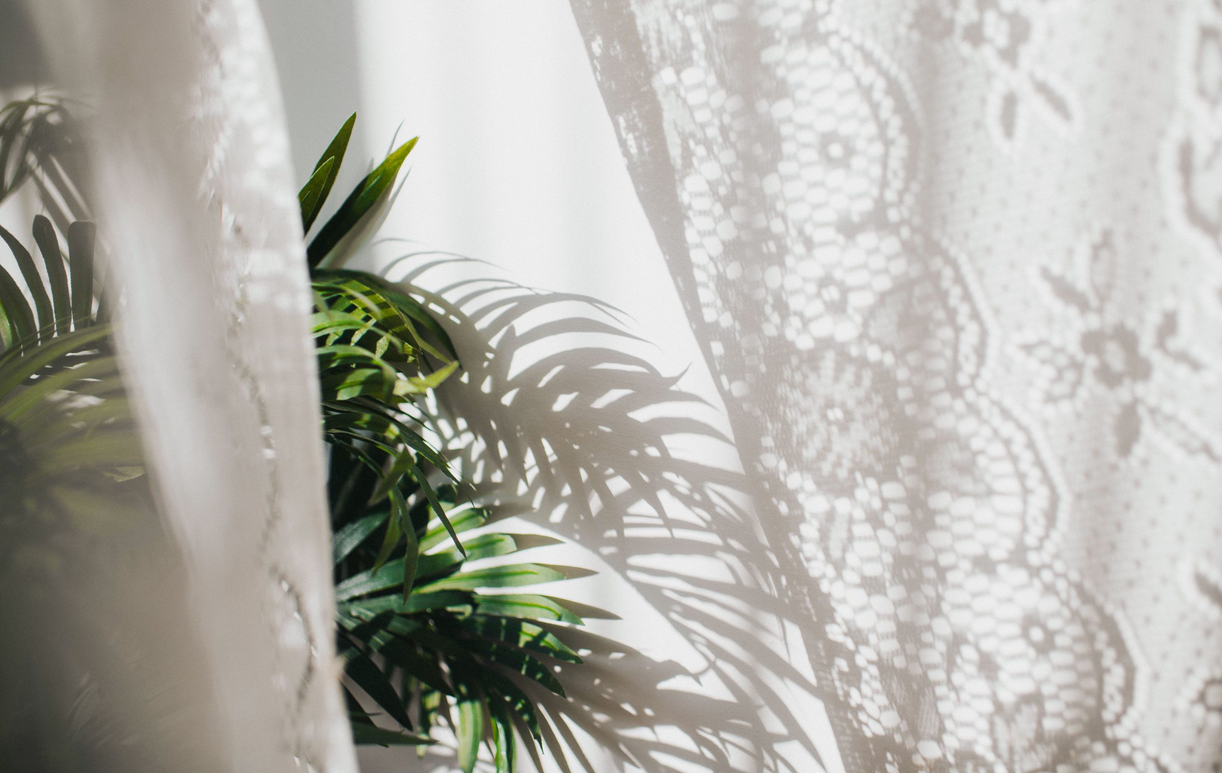 Caring for My Mother’s Plants Is Helping Prepare Me for a Life Without Her