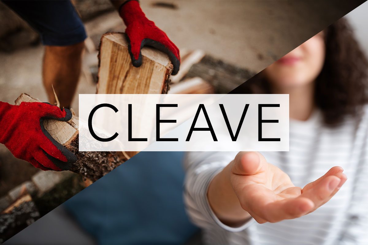 split screen of two meanings of the word cleave with the word over the middle